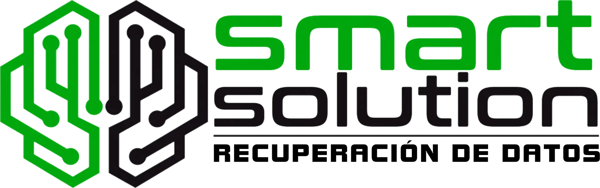 logo_smart_solution